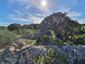 Belvedere Country House img56