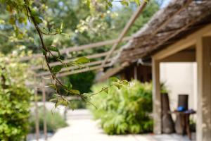 Villas Le Repertoire - Le Domaine aux Agasses : photos des chambres