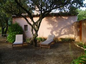 Maisons d'hotes Les Tournillayres : photos des chambres