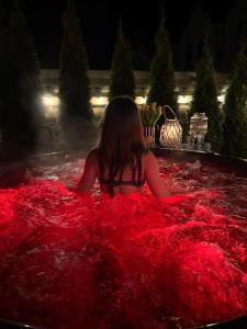 DOMKI LAURA z sauną i gorącą balią z jacuzzi