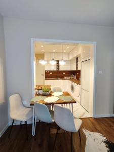 The Modern Suite Life with Terrace