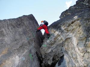 Alpengasthof Enzianhof