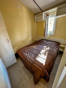 Campings Camping Le Lagon Bleu : photos des chambres