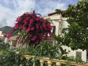 Villa Bouganville - Codaruina