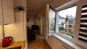 Apartament Lublin Centrum „Ice Cat”