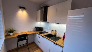 Apartament Lublin Centrum „Ice Cat”