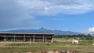 The Besotted Cottage at Mount Kenya Farm Stay