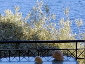 Mare Vita Apartments Lefkada Greece