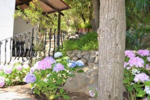 ISCHIA FORIO CASA villa, la Grille du Coq 4 il prezzo della villa è riferito allintero alloggio con il limite delle persone previste n 6