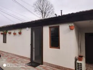 Casa Gheorghe - Topolog