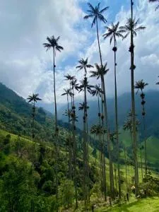 La Marteja - Quindío