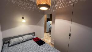Apartament Lublin Old Town „Egyptian Mau Cat”