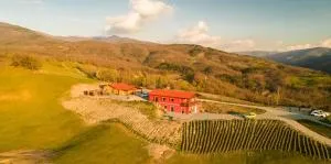 Azienda Agricola Saint Hubert - Codevico