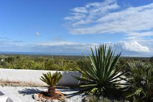 Trullo Bello Sguardo by Perle di Puglia