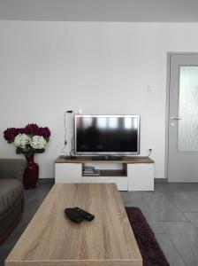 Zoran Vukusic Apartment