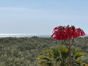 PRIMERA PLANTA DOS DORMITORIOS URB. JARDINES DE ISLA CANELA BY SIT ISLA CANELA - Punta del Caimán
