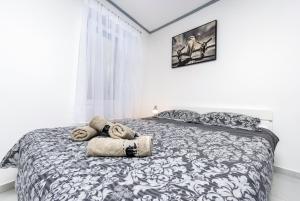 Apartment Leo