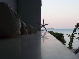 Elena's Luxury Studios & Apartments Zakynthos Greece