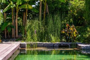 Gondomar Guimarães - Moradia V3 com piscina natural by House and People