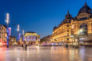 Appart'hotels APPART-ICI - Superbe appartement F3 tout confort : photos des chambres