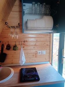 CARPATINA Rustic House