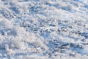 CARPATINA Rustic House