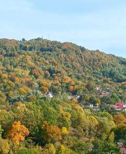 CARPATINA Rustic House