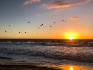 Appartements Studio Chaleureux niche au coeur des Salins : photos des chambres