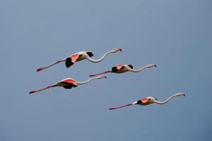 Appartements Studio Chaleureux niche au coeur des Salins : photos des chambres