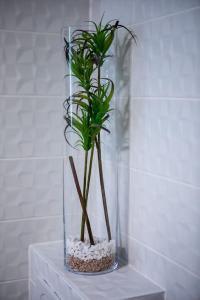 Natur und Stadt, neben Mannheim, Heidelberg, Worms