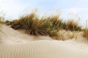 Appartements Double Studio au coeur des Marais Salants : photos des chambres