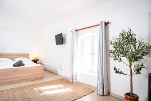 Appartements Double Studio au coeur des Marais Salants : photos des chambres