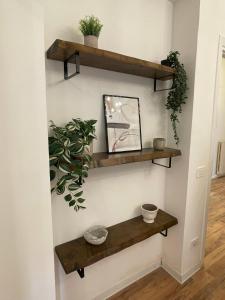 La Perla nel centro di Frascati