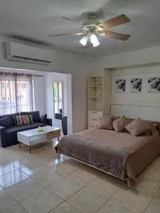 Cozi pelican - Simpson Bay