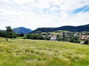 Chalets Chalet de Xonrupt / Vue splendide sur les montagnes : photos des chambres