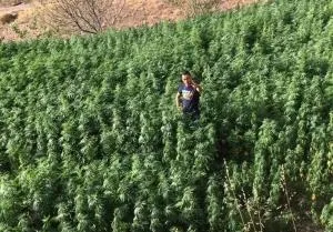 Ketama كتامة المغرب - Azzaba