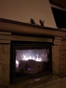 Dom drewniany z ogrodem