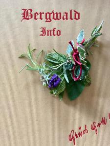 Bergwald Appartements Alpbach