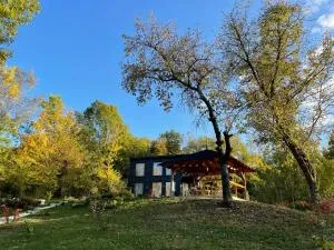 Casa de pe un Deal-Provita de Sus-Prahova - Drăgăneasa