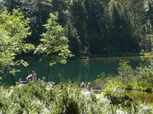 Holiday apartment carefree