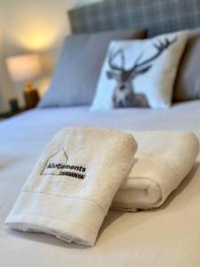 Avet, Acogedor alojamiento en Llívia