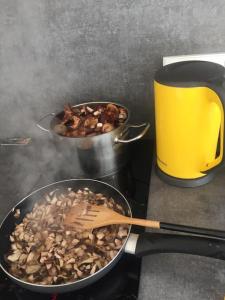 Wild rose: Cozy place in Ķesterciems near the sea