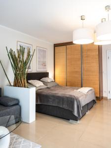 Apartament Avangard Lux - przy Promenadzie - z garażem