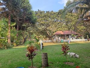 La Ramada de Mama Elena