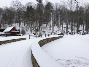 Fairytale: Hot Tub & Trout Stream & Petting Zoo?