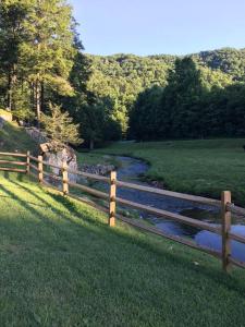 Fairytale: Hot Tub & Trout Stream & Petting Zoo?
