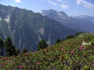 Ferienwohnung Sporer
