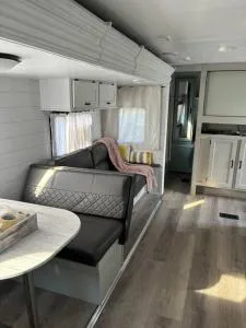 Feel the Vibe - Gonzalez