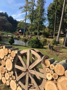 Airstream at a Petting Zoo w Hot Tub