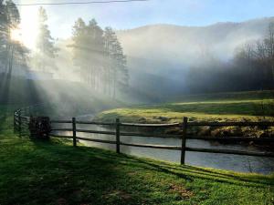 Airstream at a Petting Zoo w Hot Tub